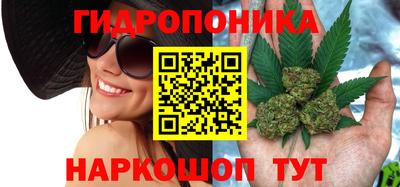 гидра Можайск