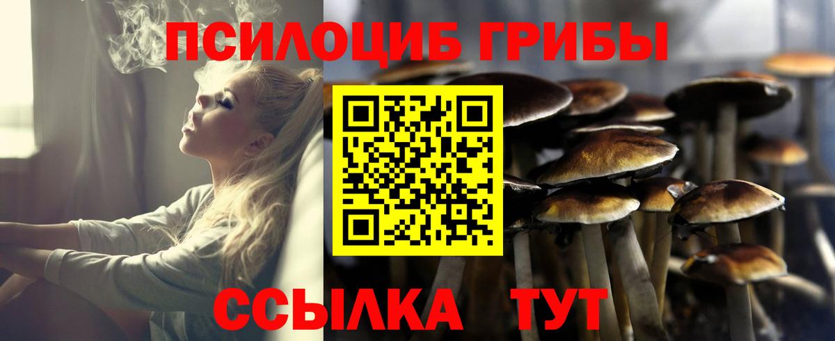 Псилоцибиновые грибы ЛСД  Вход с VPN  Псилоцибиновые грибы ЛСД  Гагарин 